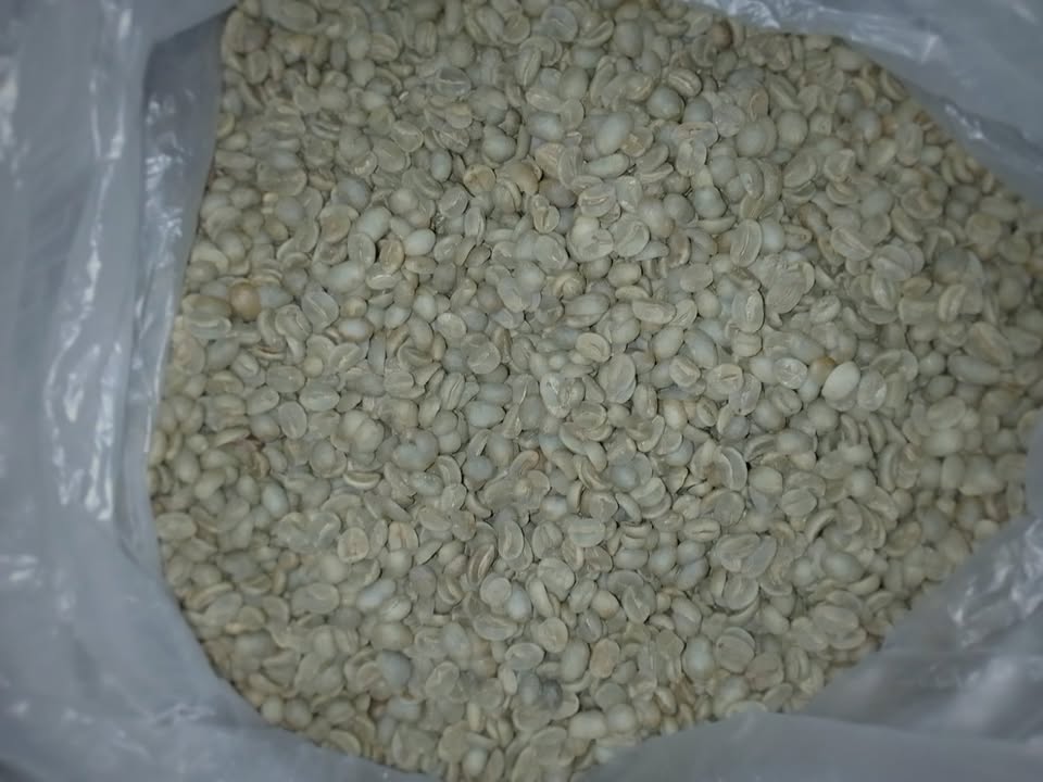 Green Coffee Beans